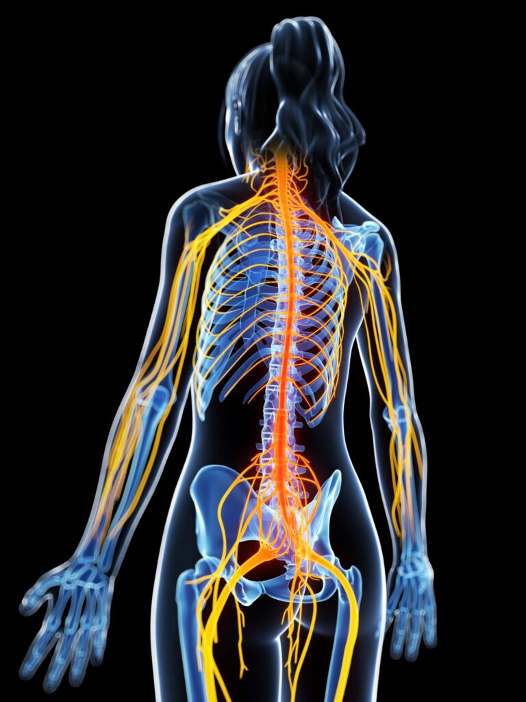 Chiropractic Care in Annapolis
