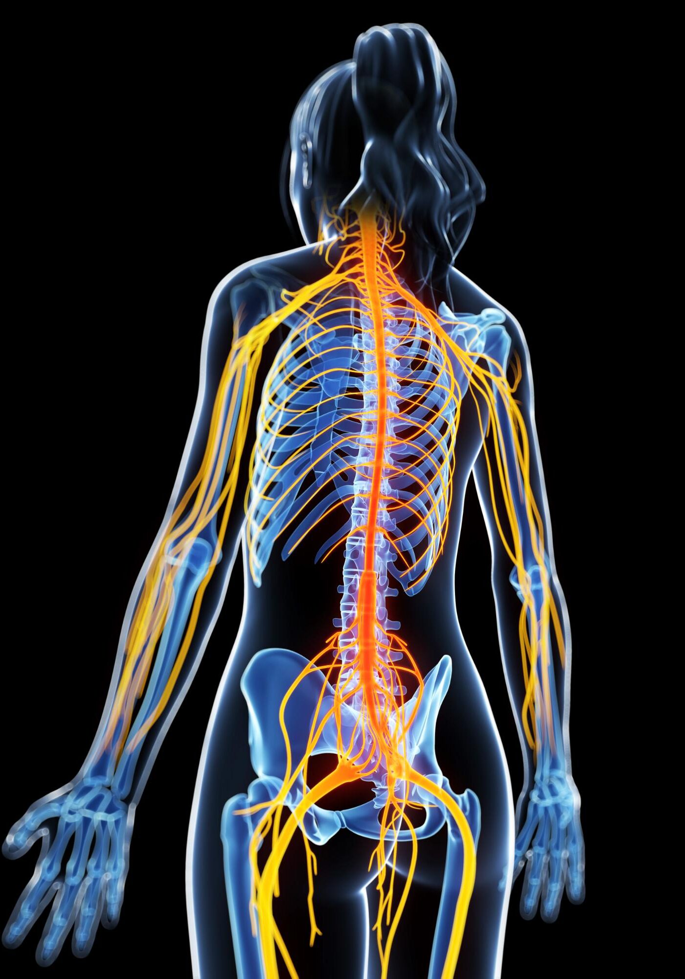 Chiropractic Care in Annapolis